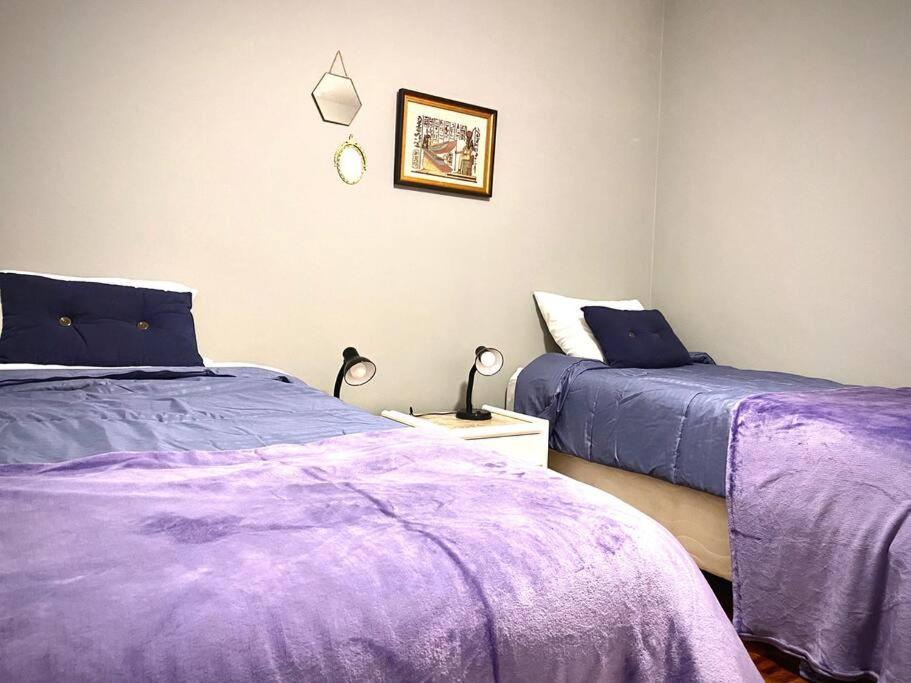 Apartamento Olimpia Tree By Mob Vaga Wif 3 São Paulo